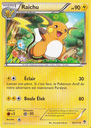 Raichu poings furieux - xy:poings,