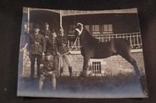 Nero e Bianco Fotografia