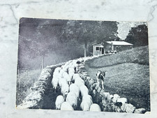 VECCHIA CARTOLINA TRAMONTI DI SOPRA UDINE  OLD POSTCARD