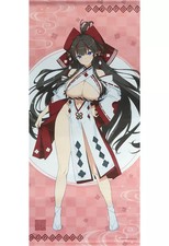 Mega arazzo Shinobi Master Senran Kagura 1500 x 700 mm