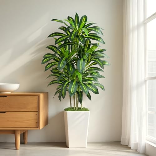 Albero dracaena artificiale - di,