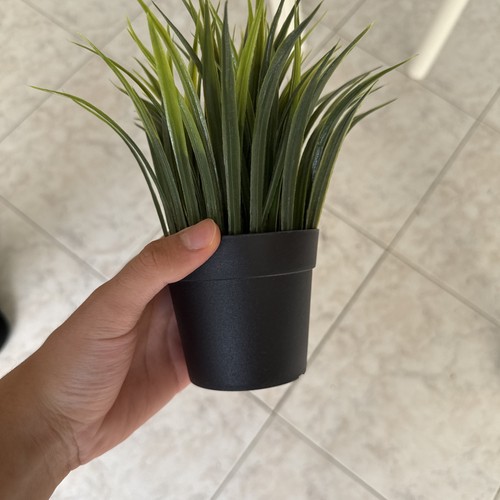 Pianta finta con - con, fiori