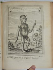 MADAGASCAR - fig. 1748 -