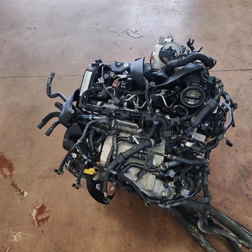 Motore completo volkswagen - motore,