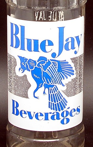 Blue jay bot coca - bot, coca-cola.