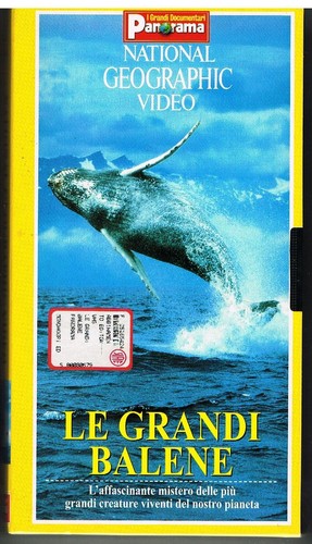 Grandi balene national - -,
