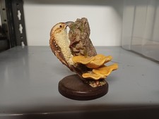 Rampichino - The Country Bird