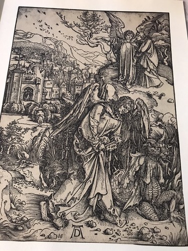 Incisione albrecht durer - incisione,
