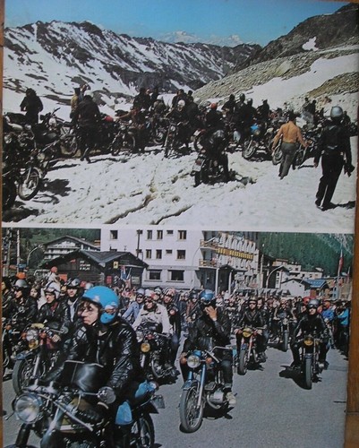 Chamois 2270 elefantentreffen - chamois,