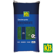 CONCIME PER PRATO TAPPETI ERBOSI FERTILIZZANTE ANTIMUSCHIO RINVERDENTE 5 kg