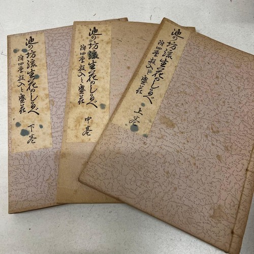 Japanese book ikenobo flower - japanese,