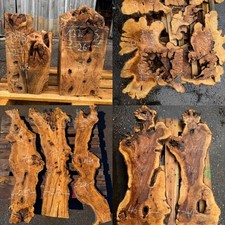 Legno di ulivo disco di legno