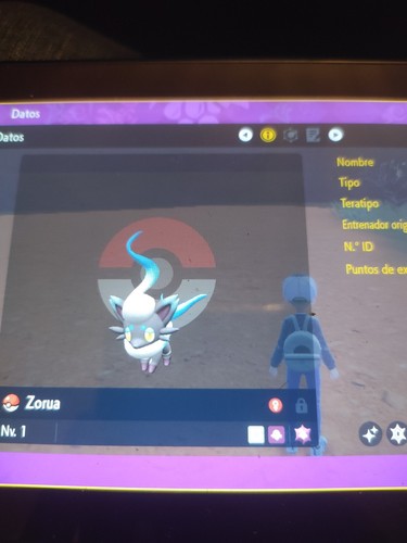 Huevo zorua hisui shiny 6iv - huevo,