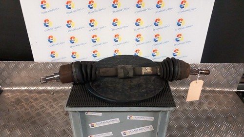 Semialbero ant compl sx - semialbero, compl.