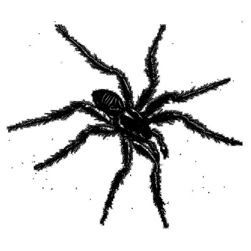 Tarantismo odyssey of - tarantismo, :