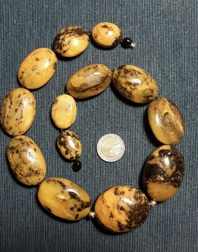 Collana ambra baltica - di,