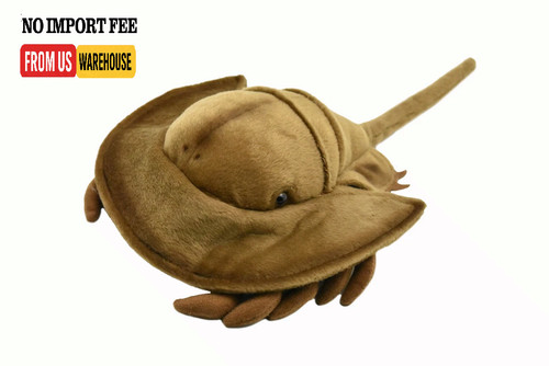 Peluche granchio ferro - , di