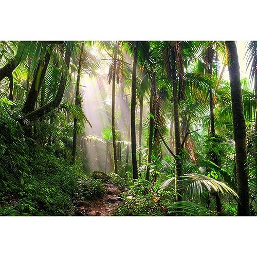 Yongfoto 3x2 vinile - 3x2,5m,