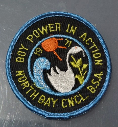Vintage boy scouts - b.s.a..."boy,