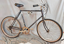 Bicicletta Fuji Boulevard MTB