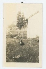 Foto/istantanea vintage