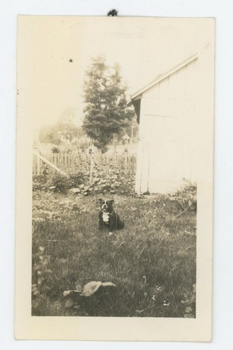 Vintage photo snapshot cute - vintage,