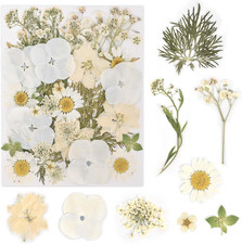 Fiori Secchi Veri, Fiori