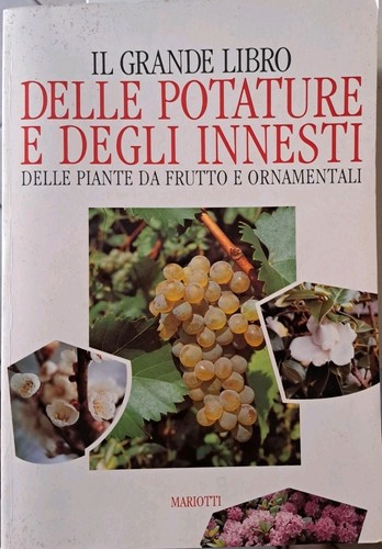 Grande libro delle - il,