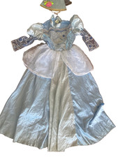 Costume da Regina dei Ghiacci