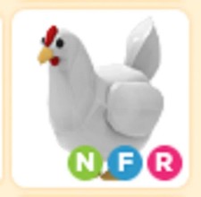 Pollo NFR 🔥 ANIMALE