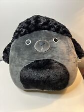 RARO Squishmallows 14" Jettward il Barboncino Nero cane MOLTO DIFFICILE DA TROVARE! Nuovo con etichetta