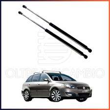 2 MOLLE A GAS BAGAGLIAIO