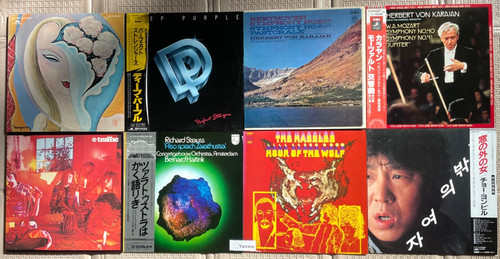 Lotto dischi vinile misti - lotto,