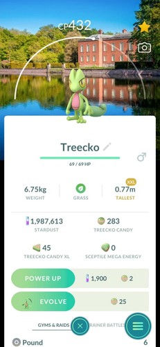 Pokémon treecko xxl xxs - pokémon,