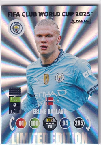 Panini 2025 fifa club - club, world
