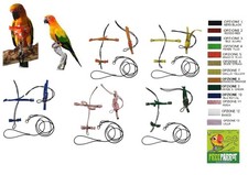 Pettorina elastica fibbie plastica sganciabili pappagalli conuro del sole