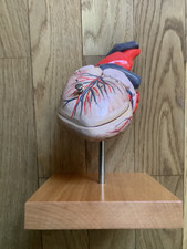 modello anatomico cuore umano perfetto