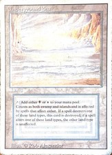 Magic the Gathering