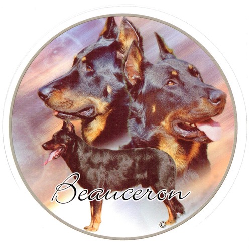 Adesivo motiv beauceron - adesivo,