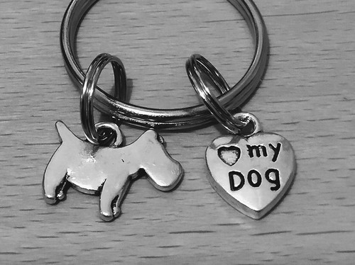 Sweet little dog keyring - sweet, 'dog'