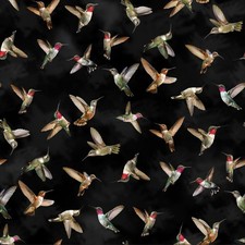 COLIBRÌ ARMONIA Tessuto 100%
