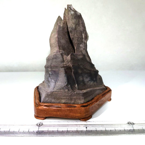 Pietra giapponese suiseki - pietra,
