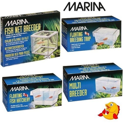 Marina fish breeding - fish, box