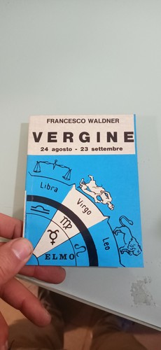 Vergine francesco waldner - vergine,