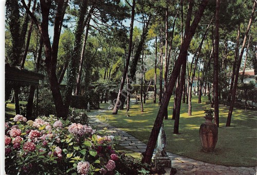Cartolina tirrenia parco - tirrenia,
