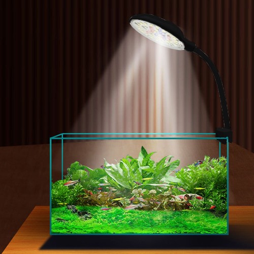 Per acquario setup 360 gradi - 360,
