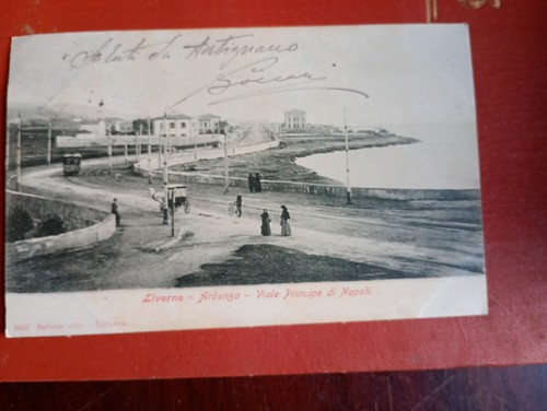 Livorno ardenza viale principe - livorno,