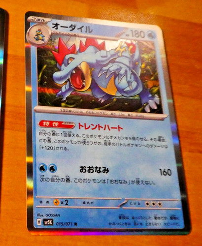 Pokemon japanese card raolo - card,