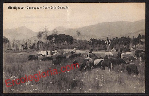 Ag8123 cartolina epoca - d'epoca,