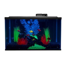 Glofish Kit Serbatoio Pesci